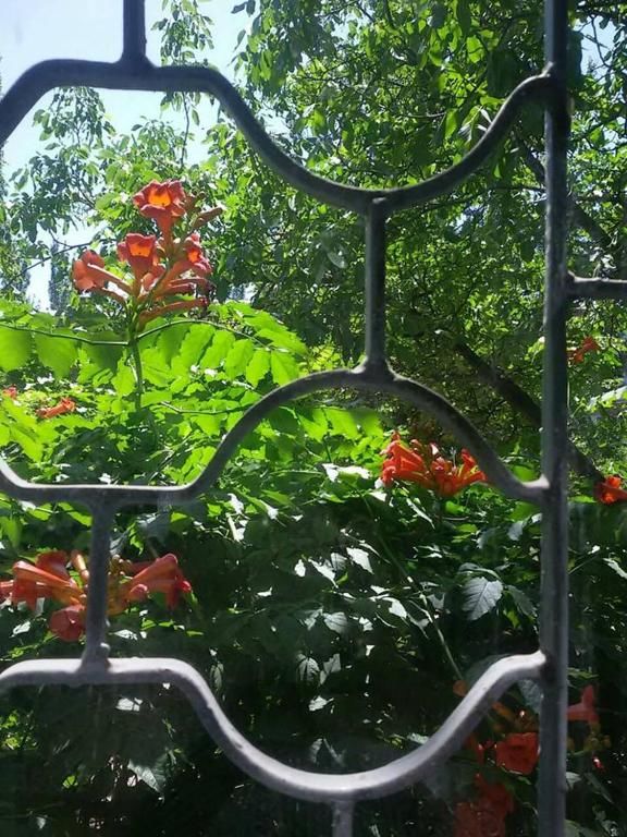 Апартаменты Апартаменты Центр Васильевская Славянск